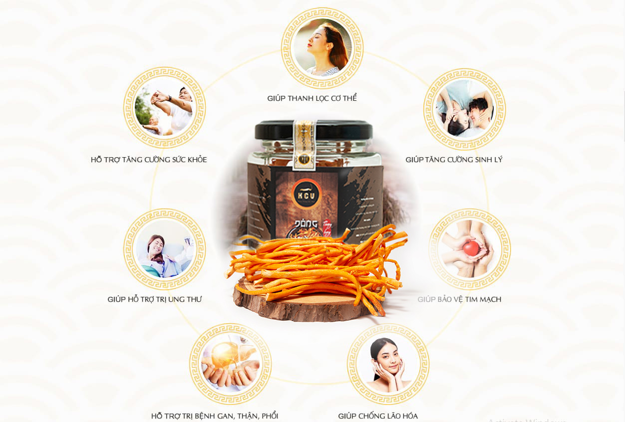 công dụng đông trùng hạ thảo kim cương vàng