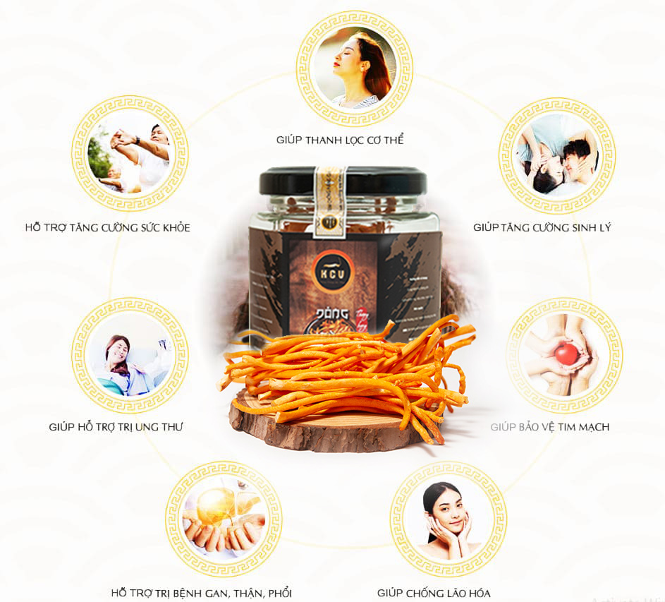 công dụng đông trùng hạ thảo kim cương vàng