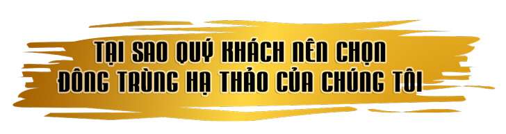 tại sao nên sử dụng đông trùng hạ thảo Kim cương vàng