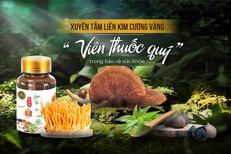 Xuyên Tâm Liên là gì? Tác dụng và cách dùng