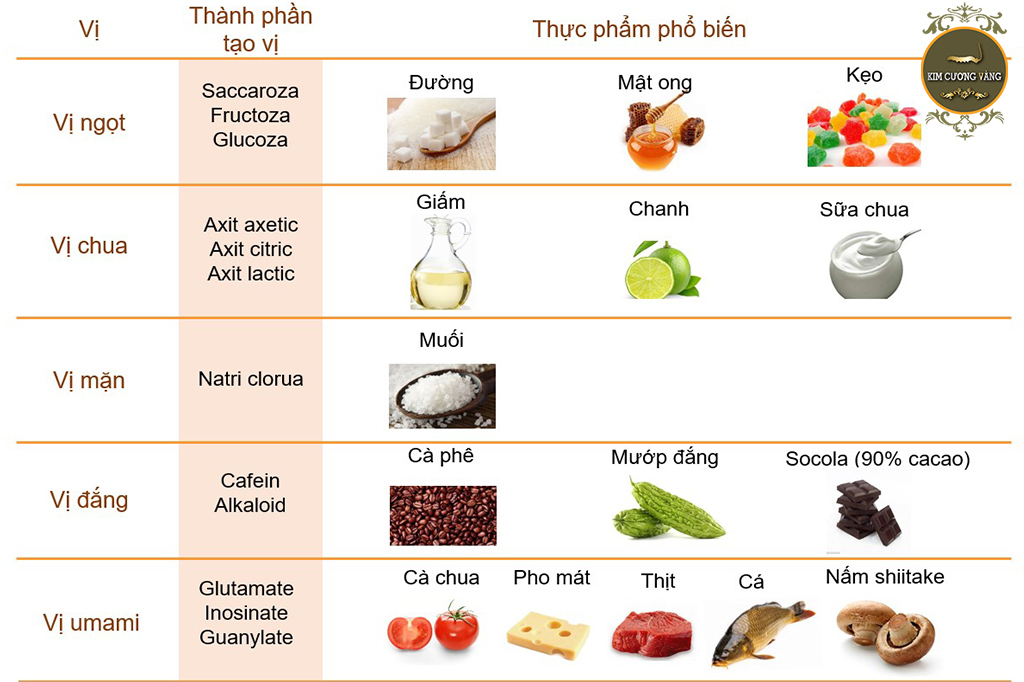 5 vị cơ bản đăng mặn ngọt chua cay