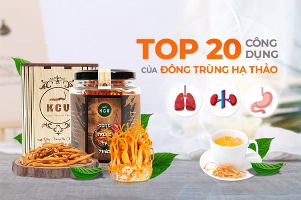 20 tác dụng của đông trùng hạ thảo tốt cho sức khỏe