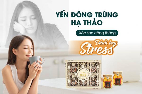 Yến đông trùng hạ thảo - Xóa tan căng thẳng, đánh bay stress