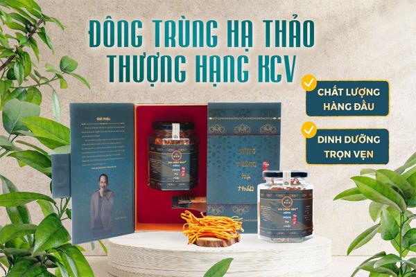 Đông trùng hạ thảo thượng hạng KCV - Chất lượng hàng đầu - Dinh dưỡng trọn vẹn