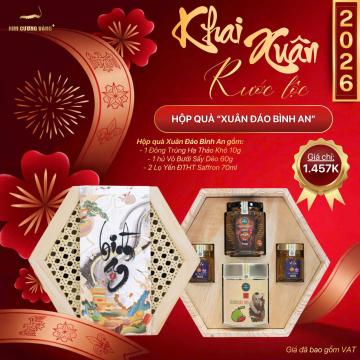 [🔥🔥🔥 Mua 1 tặng 1] Quà Tết Xuân Đáo Bình An